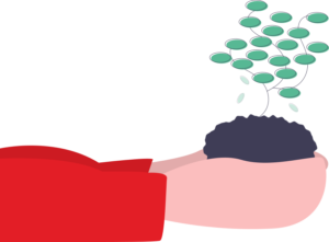 plants